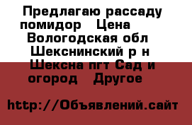 Предлагаю рассаду помидор › Цена ­ 20 - Вологодская обл., Шекснинский р-н, Шексна пгт Сад и огород » Другое   